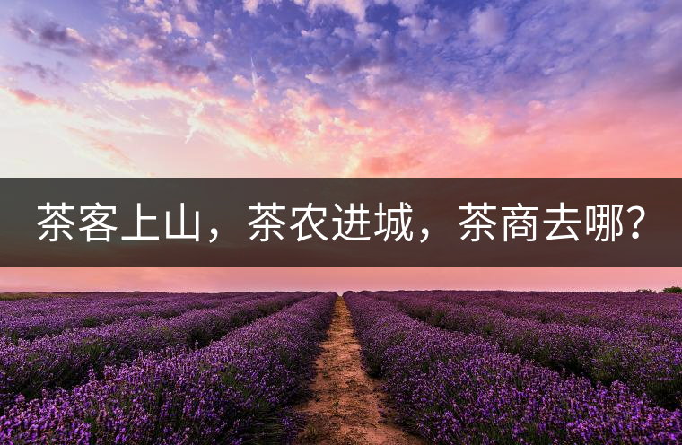 茶客上山，茶農(nóng)進(jìn)城，茶商去哪？