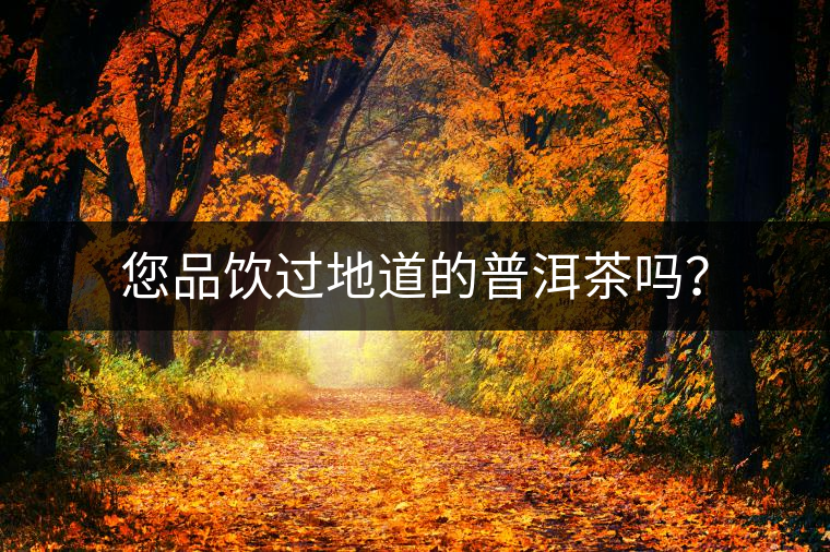 您品飲過地道的普洱茶嗎？