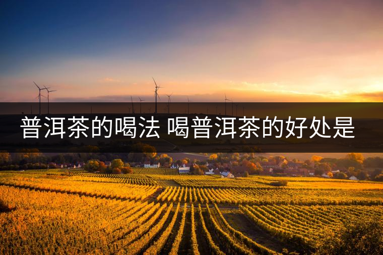 普洱茶的喝法 喝普洱茶的好處是什么？