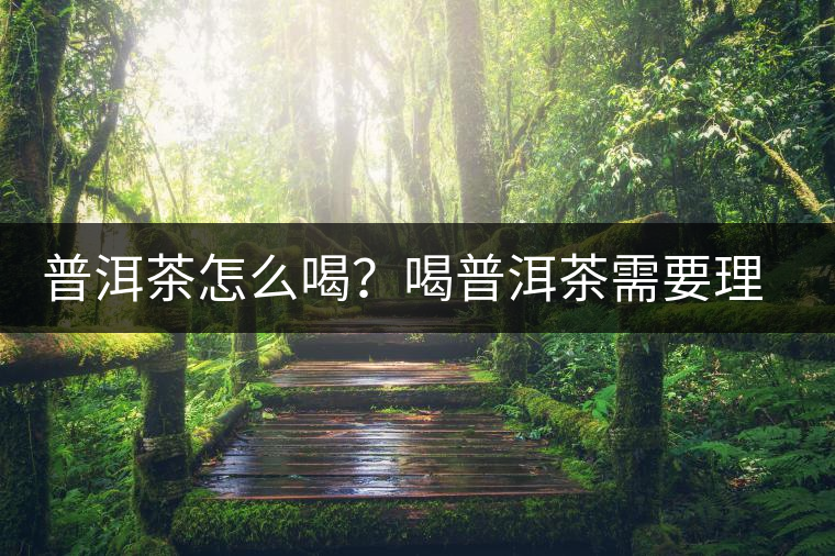 普洱茶怎么喝？喝普洱茶需要理由嗎？