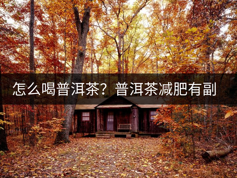 怎么喝普洱茶？普洱茶減肥有副作用嗎？