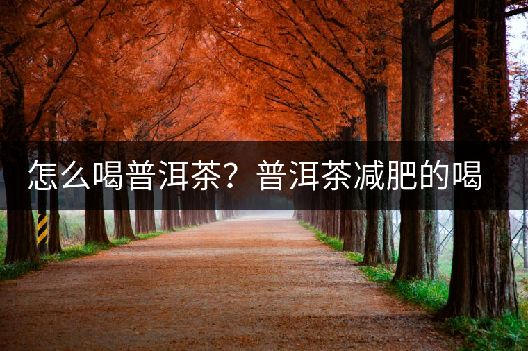 怎么喝普洱茶？普洱茶減肥的喝法