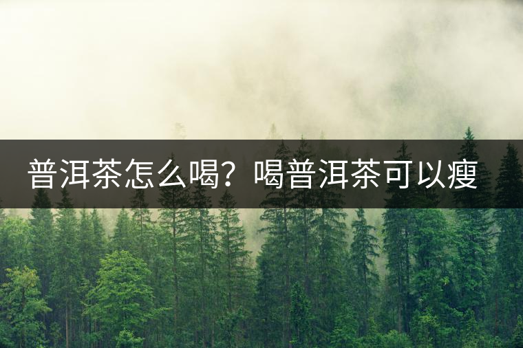 普洱茶怎么喝？喝普洱茶可以瘦腹嗎？