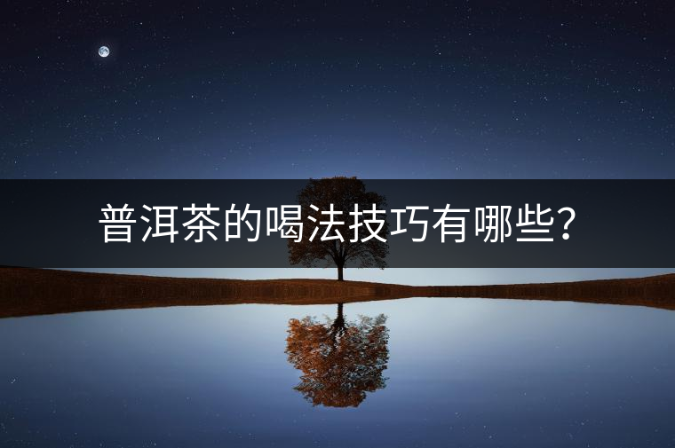 普洱茶的喝法技巧有哪些？
