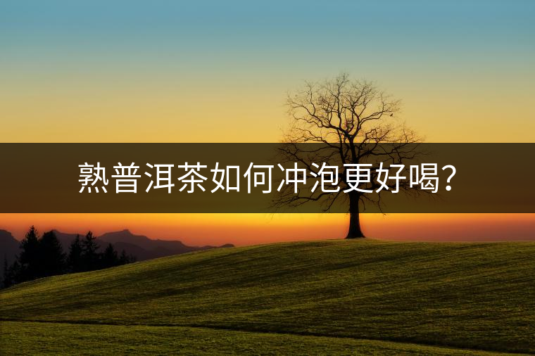 熟普洱茶如何沖泡更好喝？