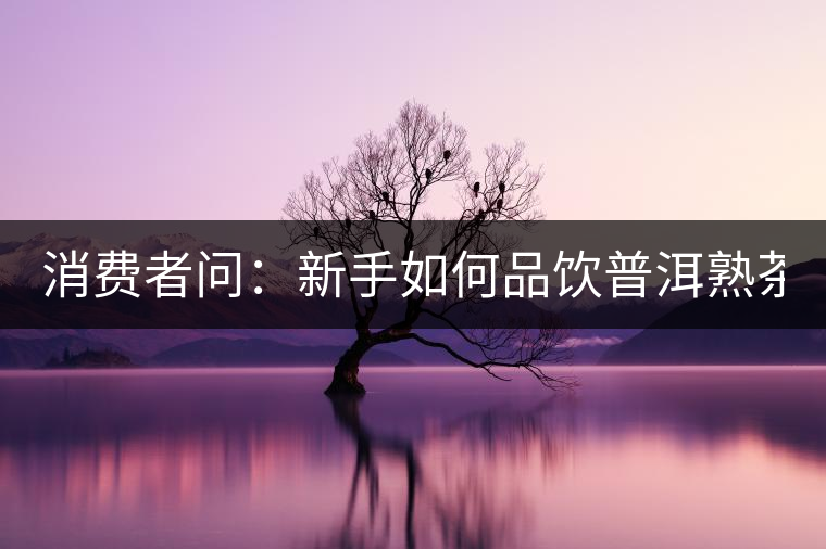 消費者問：新手如何品飲普洱熟茶？