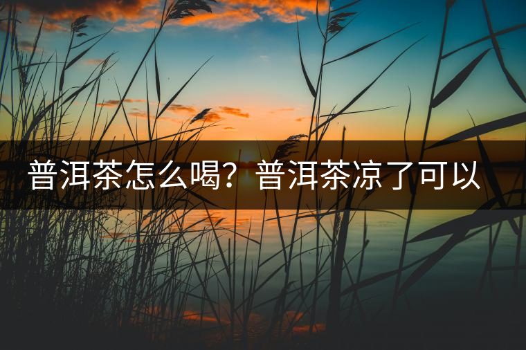 普洱茶怎么喝？普洱茶涼了可以喝嗎？