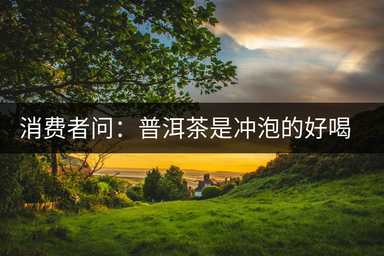 消費(fèi)者問(wèn)：普洱茶是沖泡的好喝？還是煮著喝好？