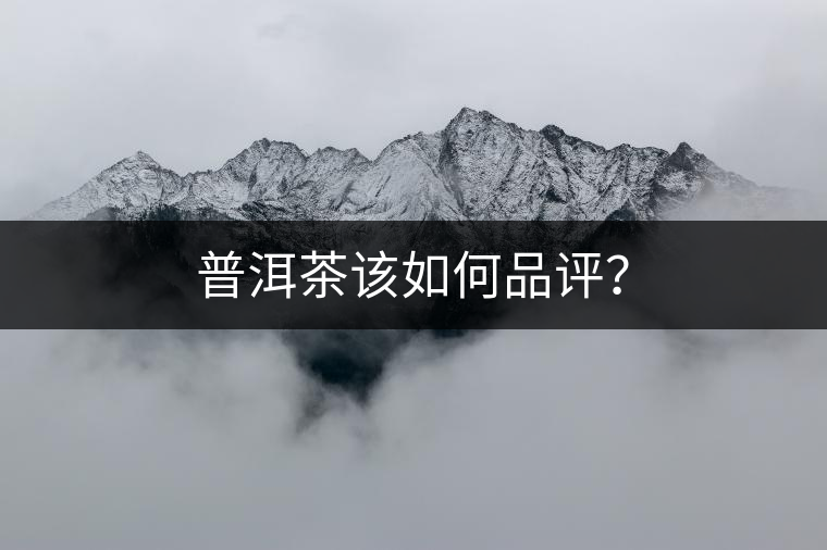 普洱茶該如何品評(píng)？