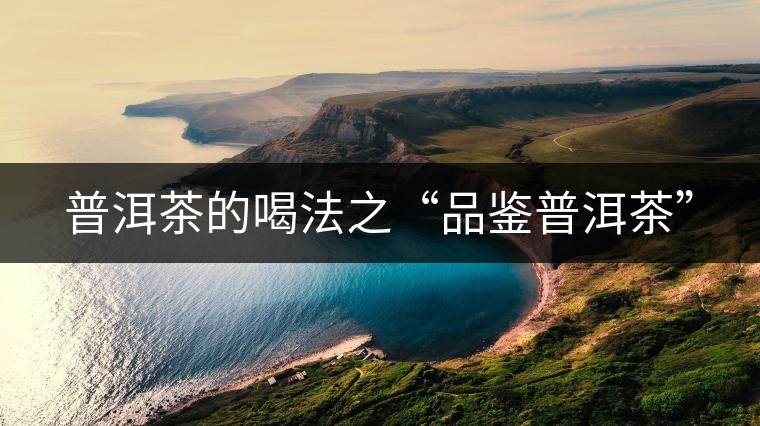 普洱茶的喝法之“品鑒普洱茶” 普洱茶的喝法之“品鑒普洱茶”