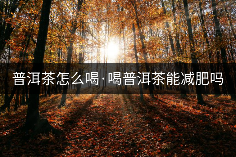 普洱茶怎么喝·喝普洱茶能減肥嗎？