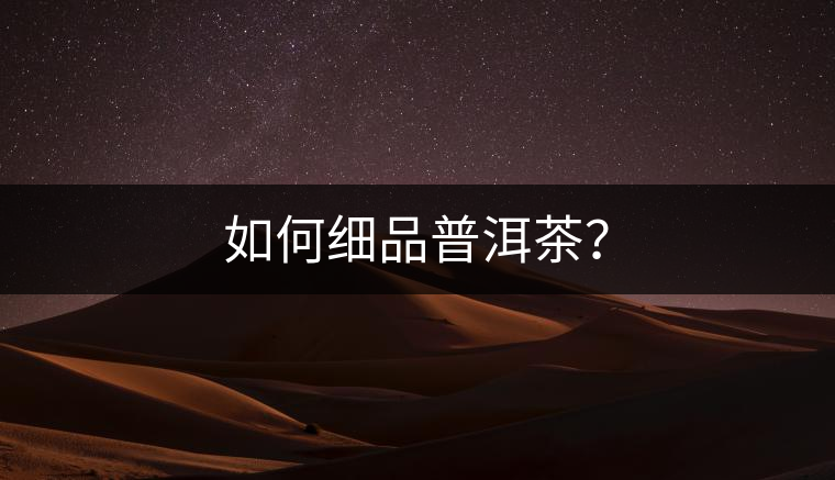 如何細品普洱茶？