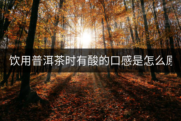 飲用普洱茶時(shí)有酸的口感是怎么原因？