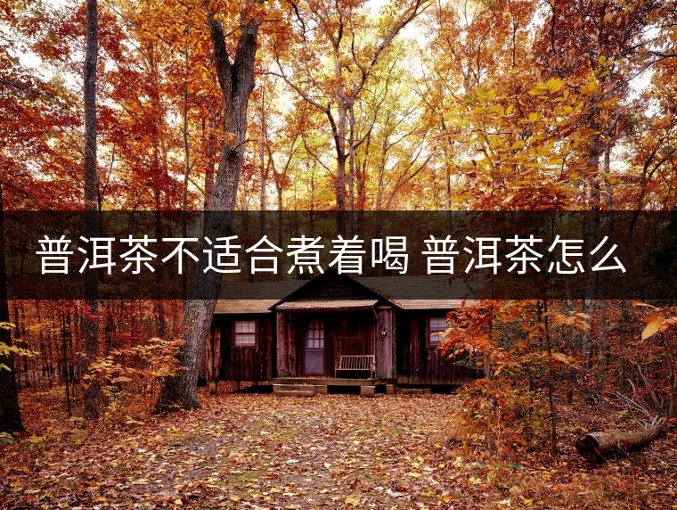 普洱茶不適合煮著喝 普洱茶怎么喝？