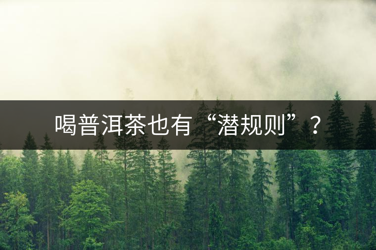 喝普洱茶也有“潛規(guī)則”？