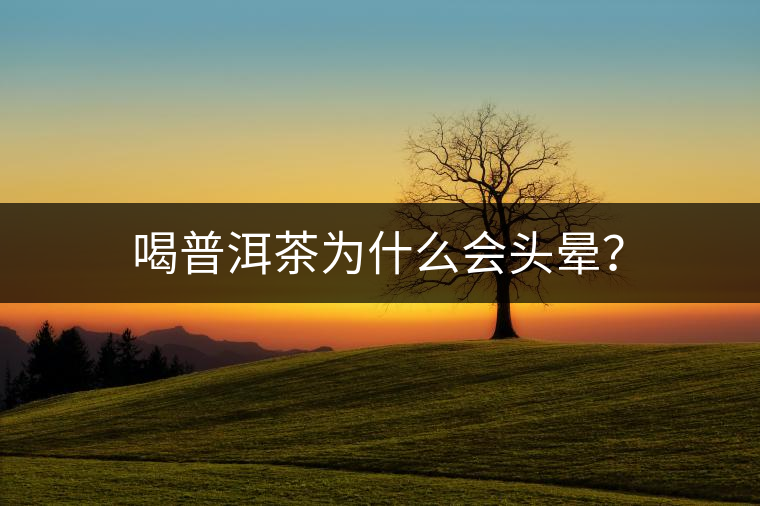 喝普洱茶為什么會頭暈？