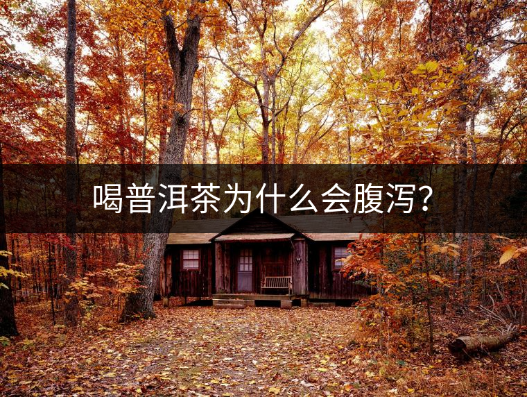 喝普洱茶為什么會腹瀉？