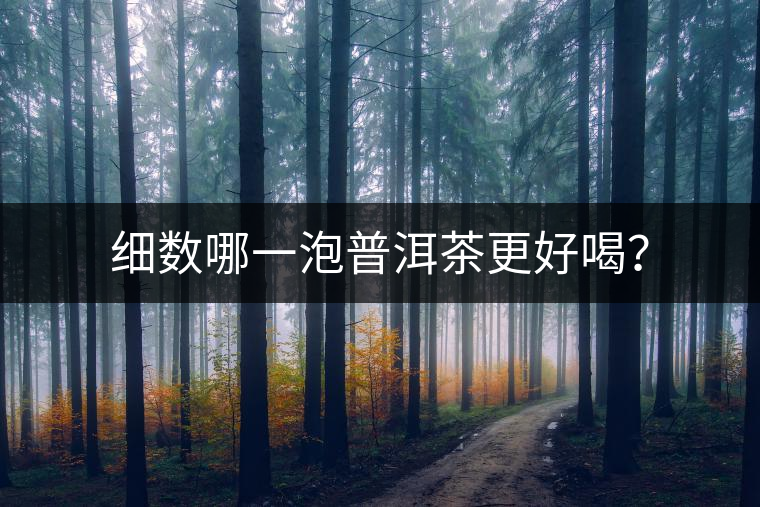 細(xì)數(shù)哪一泡普洱茶更好喝？