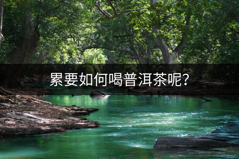 累要如何喝普洱茶呢？