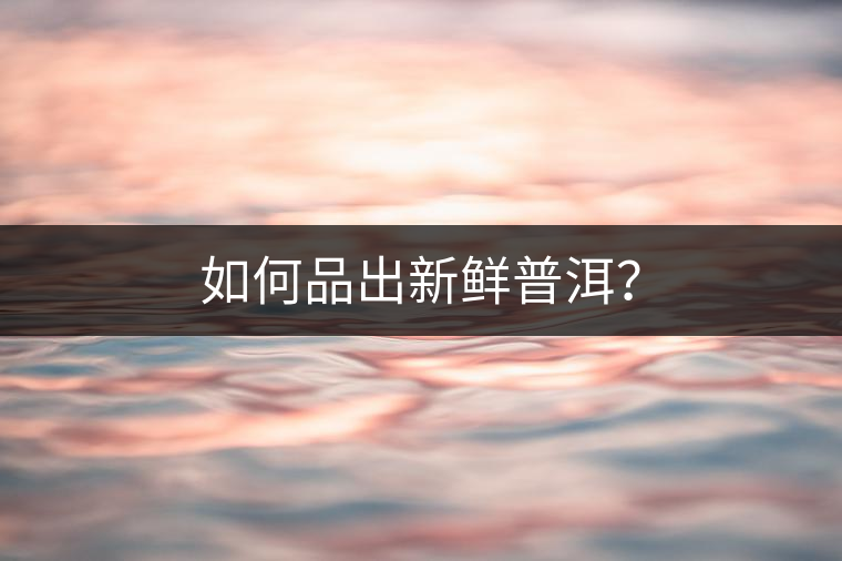 如何品出新鮮普洱？