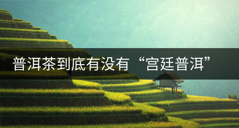 普洱茶到底有沒有“宮廷普洱”一說？它到底是什么？