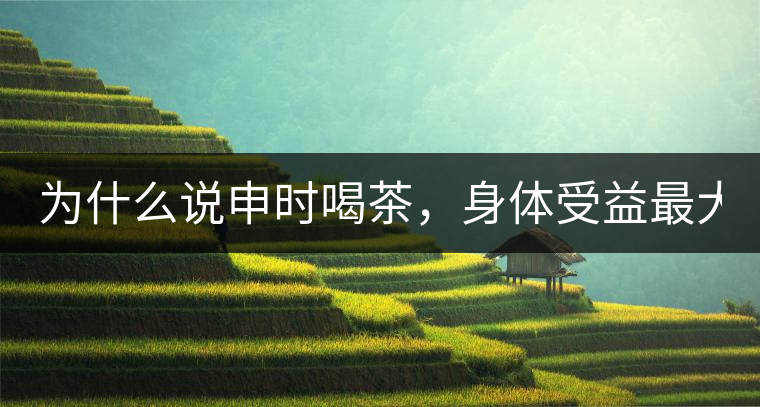 為什么說申時喝茶，身體受益最大？