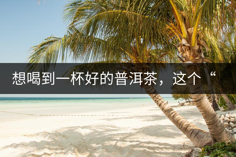 想喝到一杯好的普洱茶，這個“醒茶”步驟很關(guān)鍵