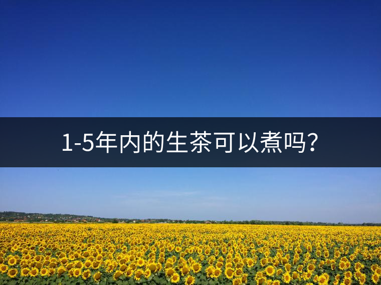 1-5年內(nèi)的生茶可以煮嗎？