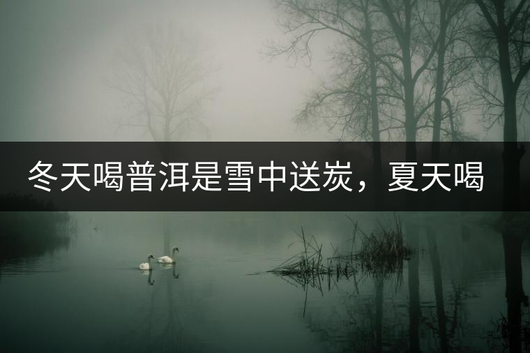 冬天喝普洱是雪中送炭，夏天喝就是火上澆油了？