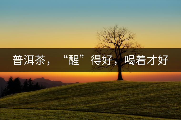 普洱茶，“醒”得好，喝著才好
