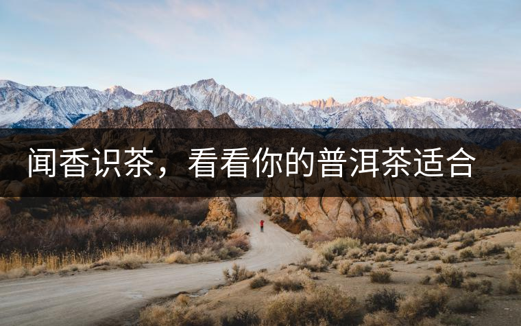 聞香識茶，看看你的普洱茶適合現(xiàn)在喝還是以后喝？