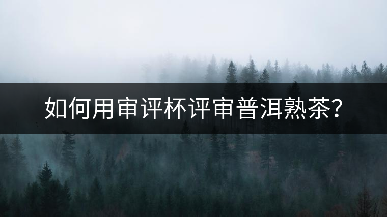 如何用審評(píng)杯評(píng)審普洱熟茶？