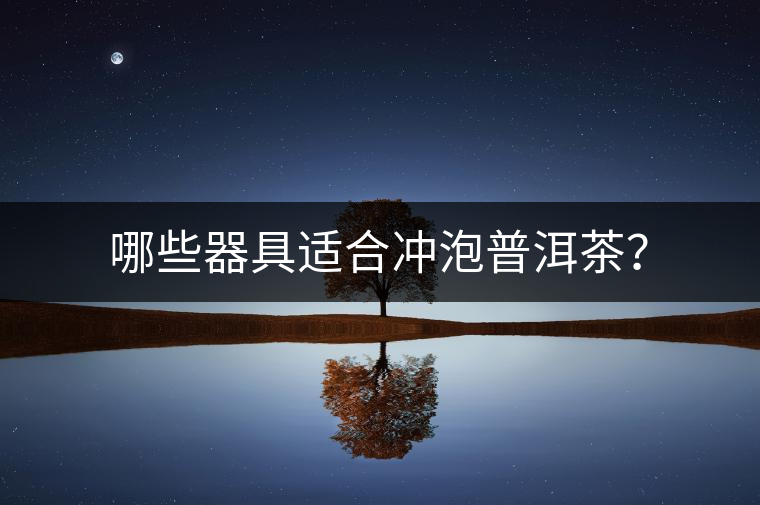 哪些器具適合沖泡普洱茶？