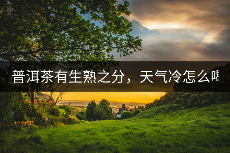 普洱茶有生熟之分，天氣冷怎么喝？