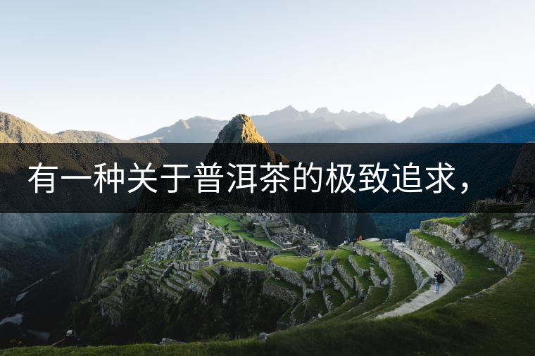 有一種關(guān)于普洱茶的極致追求， 當(dāng)屬于鴻中鴻