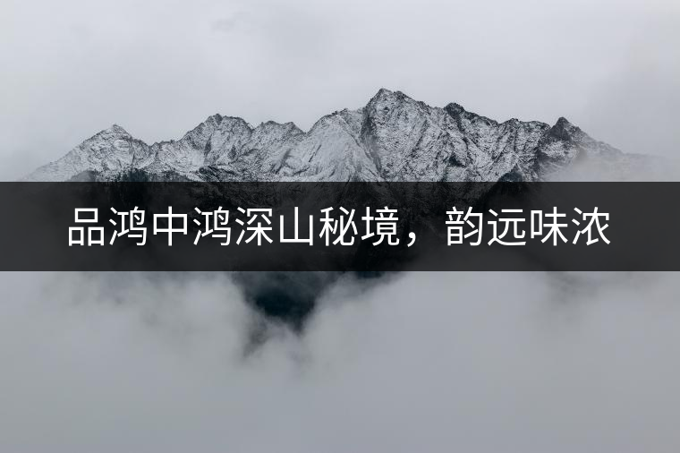 品鴻中鴻深山秘境，韻遠(yuǎn)味濃