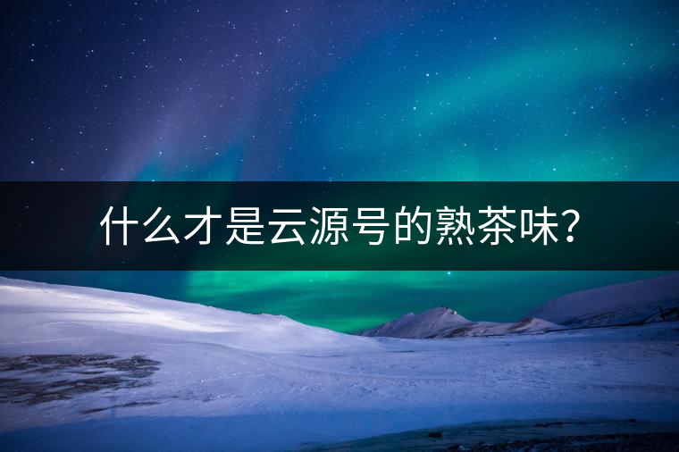 什么才是云源號的熟茶味？