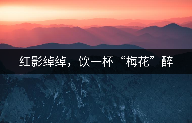 紅影綽綽，飲一杯“梅花”醉