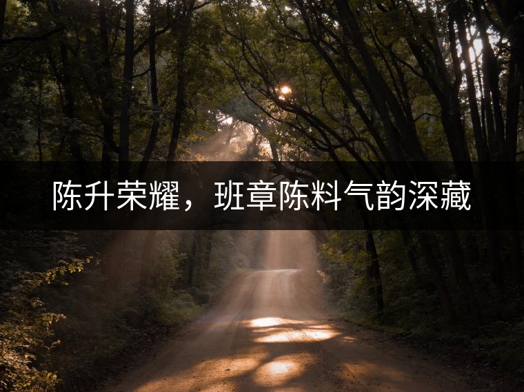 陳升榮耀，班章陳料氣韻深藏