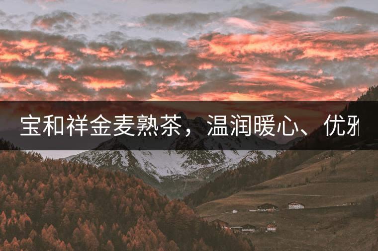 寶和祥金麥熟茶，溫潤暖心、優(yōu)雅迷人。