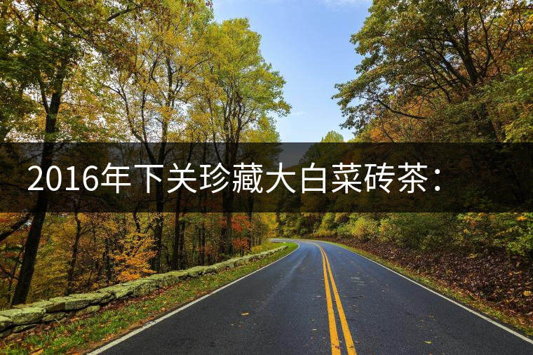 2016年下關(guān)珍藏大白菜磚茶：不一樣的班章茶韻