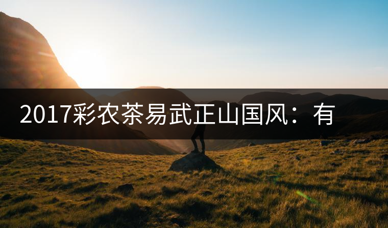 2017彩農(nóng)茶易武正山國風：有茶韻，亦有國風