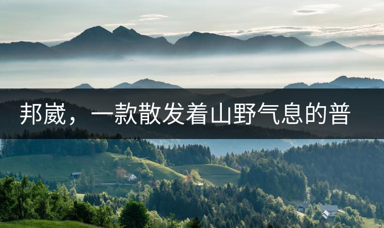 邦崴，一款散發(fā)著山野氣息的普洱