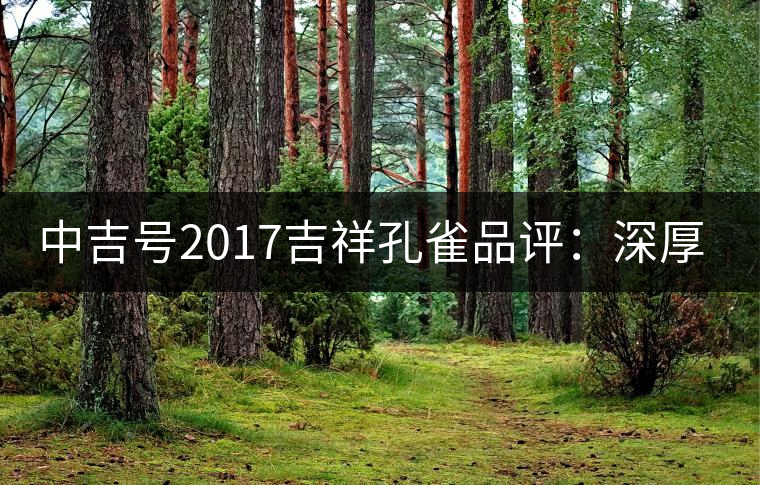 中吉號2017吉祥孔雀品評:深厚飽滿 中吉號2017吉祥孔雀品評:深厚飽滿