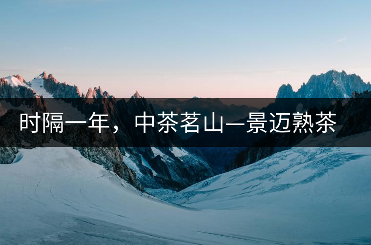 時(shí)隔一年，中茶茗山—景邁熟茶有哪些變化