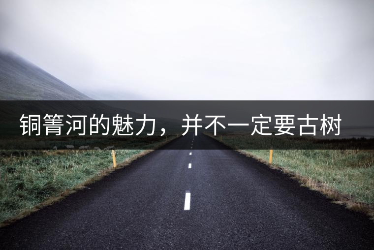 銅箐河的魅力，并不一定要古樹(shù)來(lái)體現(xiàn)