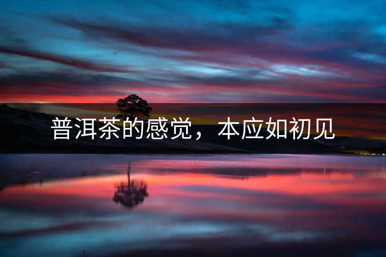 普洱茶的感覺(jué)，本應(yīng)如初見(jiàn)