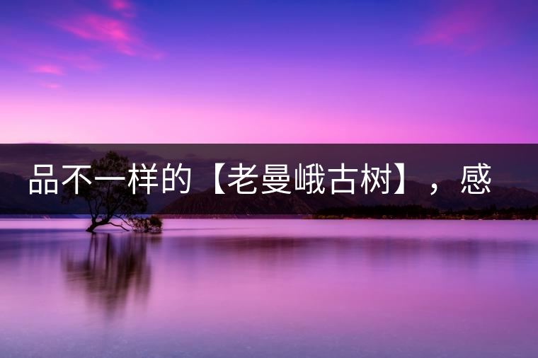 品不一樣的【老曼峨古樹】，感受別樣甘甜與溫婉