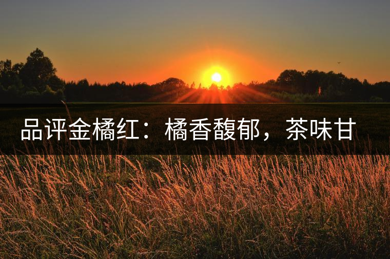 品評(píng)金橘紅：橘香馥郁，茶味甘醇，匠心拼配，臻于至善