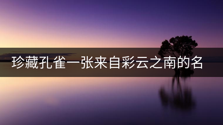 珍藏孔雀一張來(lái)自彩云之南的名片